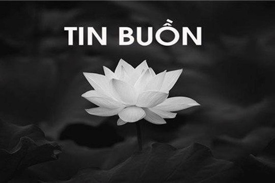 icon tinbuon