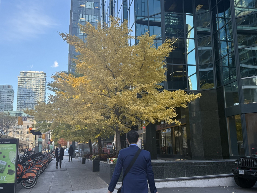 Nghề luật sư trong thế giới chuyển động không ngừng (Kỳ 4) 1 Bước chân vào một ngày mới tại Hội nghị thường niên IBA…