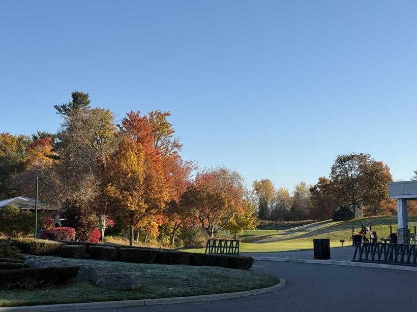 Nghề luật sư trong thế giới chuyển động không ngừng (Kỳ 5) 7 Khung cảnh thanh bình ngoại ô Toronto vào một ngày hửng nắng.