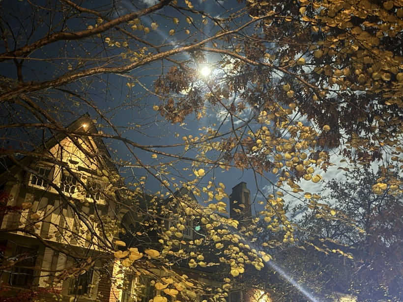 Nghề luật sư trong thế giới chuyển động không ngừng (Kỳ cuối) 1 Khu dinh thự nằm ở ngoại ô Toronto, trầm lặng dưới những vòm cây và ánh trăng.